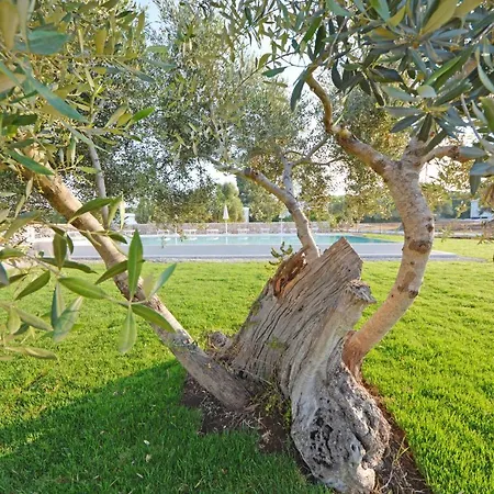 Casa vacanze Pindini *